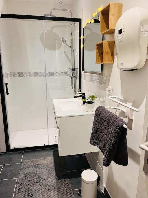 Superbe Maison Plein Centre Merville  Екстер'єр фото